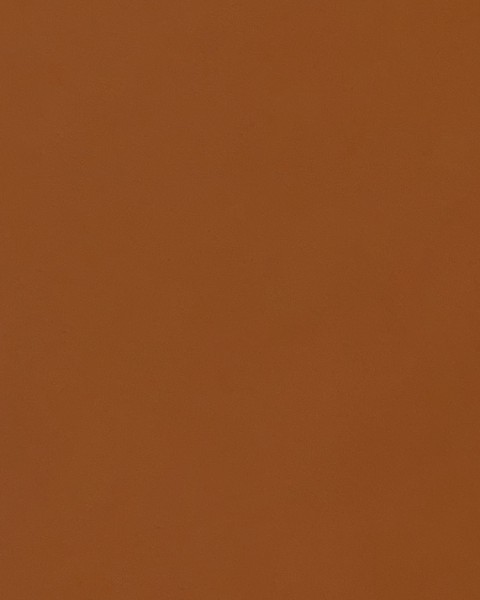 VA6005 - Velvet Sedona - VIVA ACP's Shades